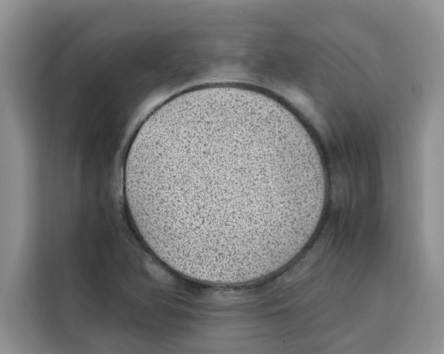 X0000115151366200911241520