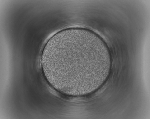 X0000115151367200911241520