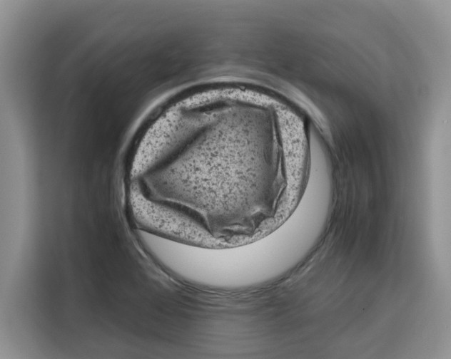 X0000115151368200911241520