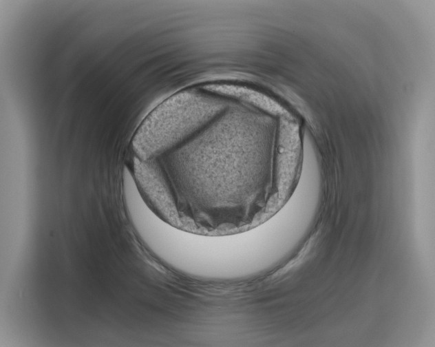 X0000115151369200911241520