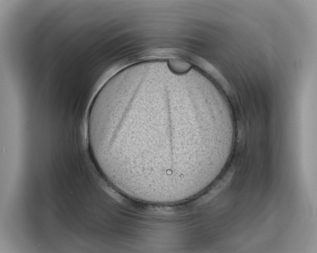 X0000115151370200911241520