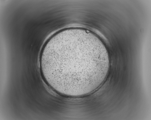 X0000115151372200911241520