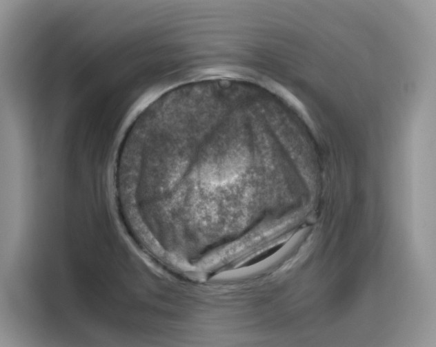 X0000115151373200911241520