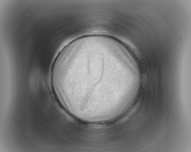 X0000115151374200911241520