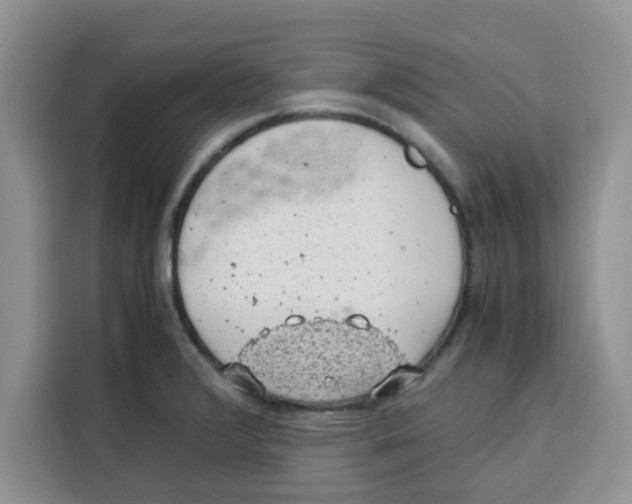 X0000115151376200911241520