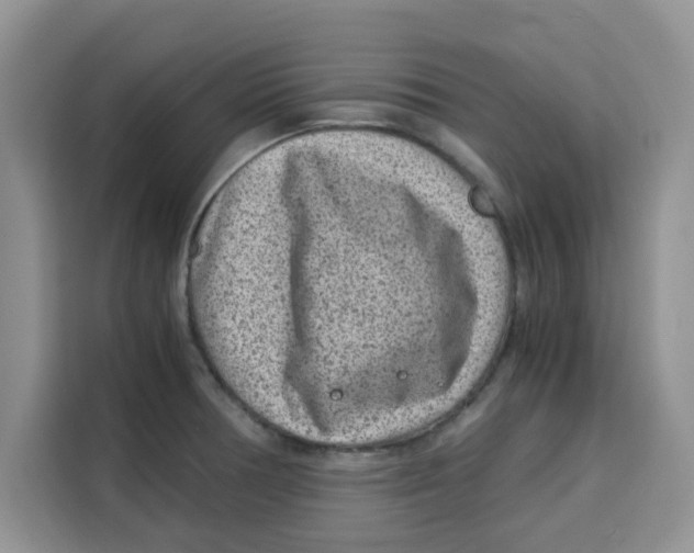 X0000115151378200911241520