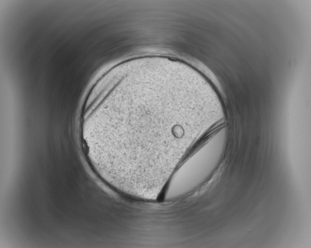 X0000115151381200911241520