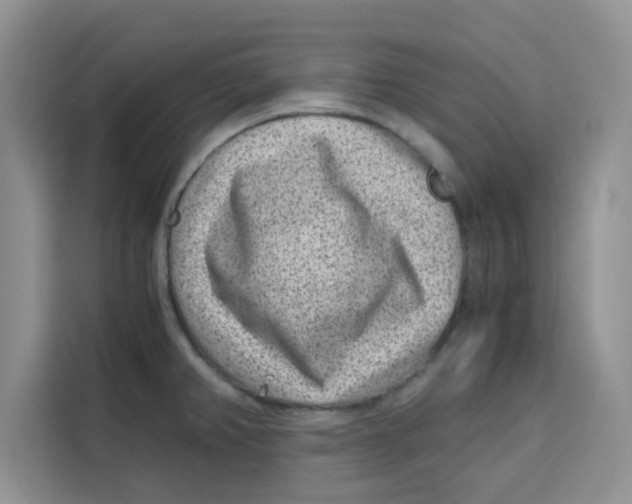 X0000115151382200911241520