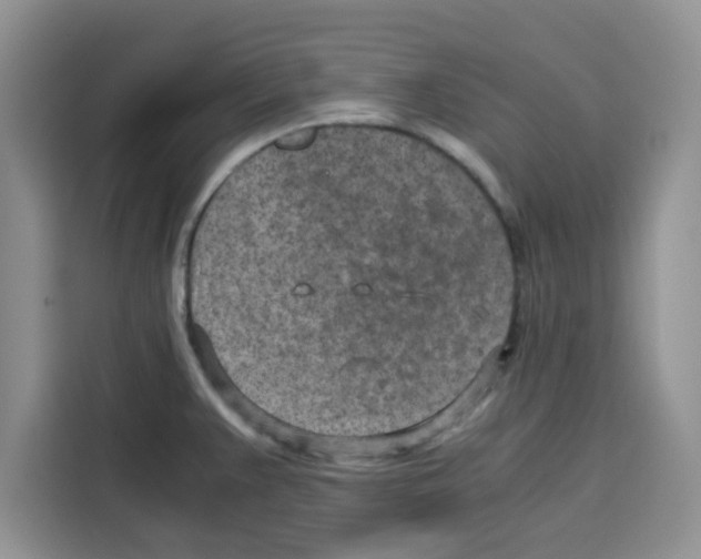 X0000115151383200911241520