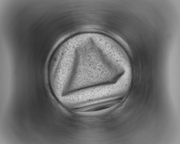 X0000115151384200911241520