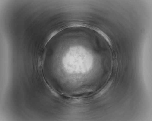 X0000115151385200911241520