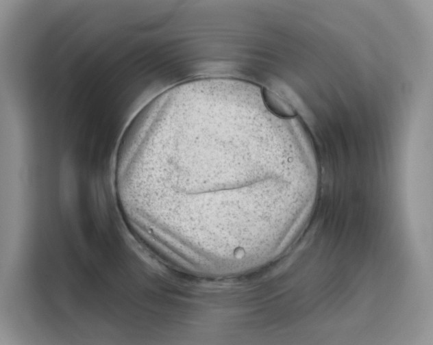 X0000115151386200911241520