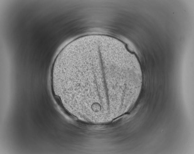 X0000115151387200911241520