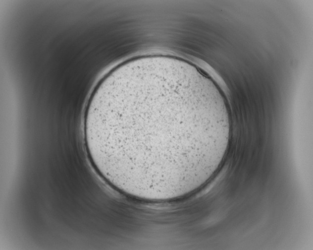 X0000115151388200911241520