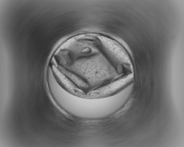 X0000115151389200911241520