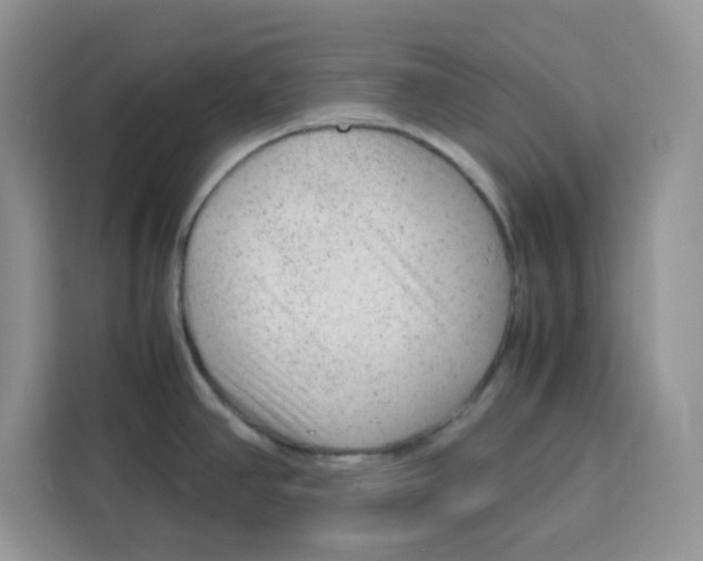 X0000115151390200911241520