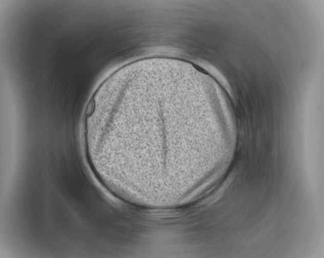 X0000115151391200911241520