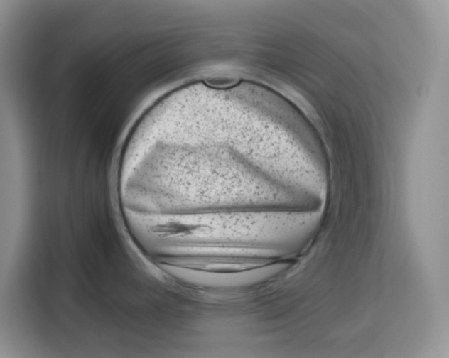 X0000115151392200911241520