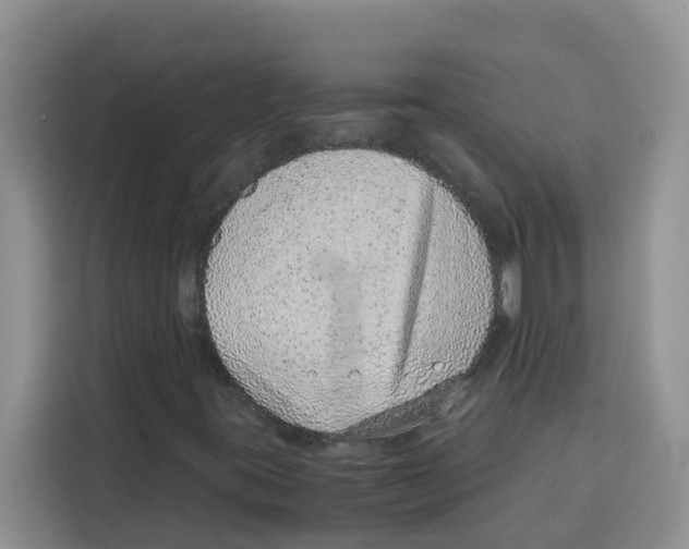 X0000115151395200911241519