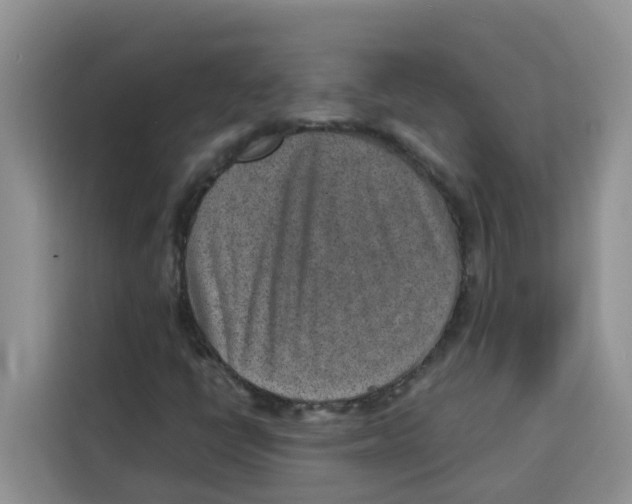 X0000115151398200911241519