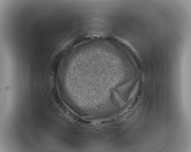 X0000115151399200911241519