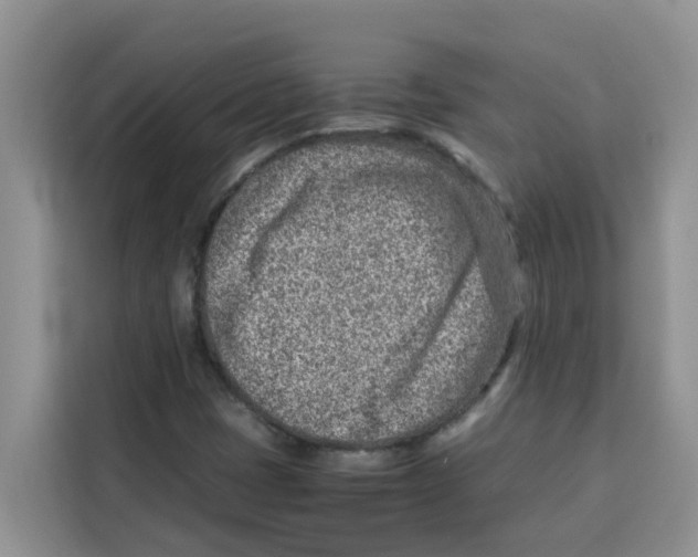 X0000115151401200911241519