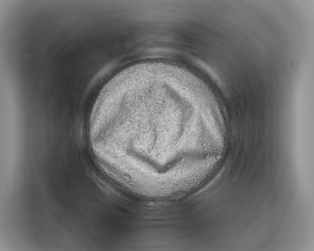 X0000115151403200911241519