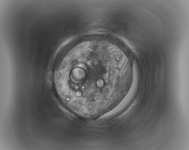 X0000115151405200911241519