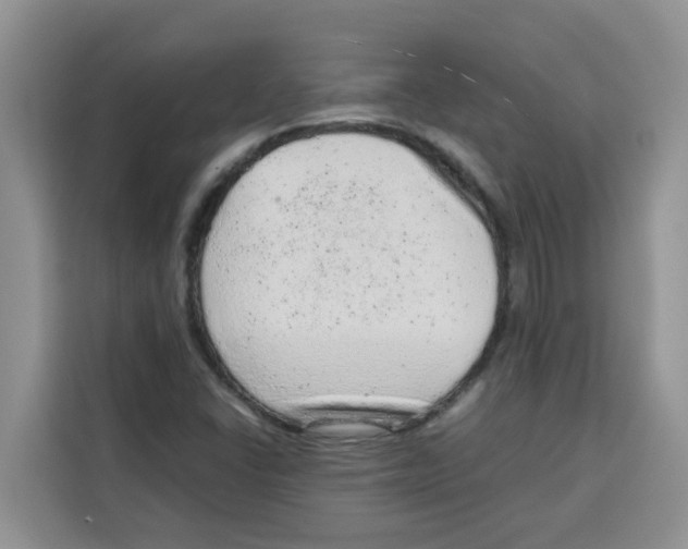 X0000115151406200911241519