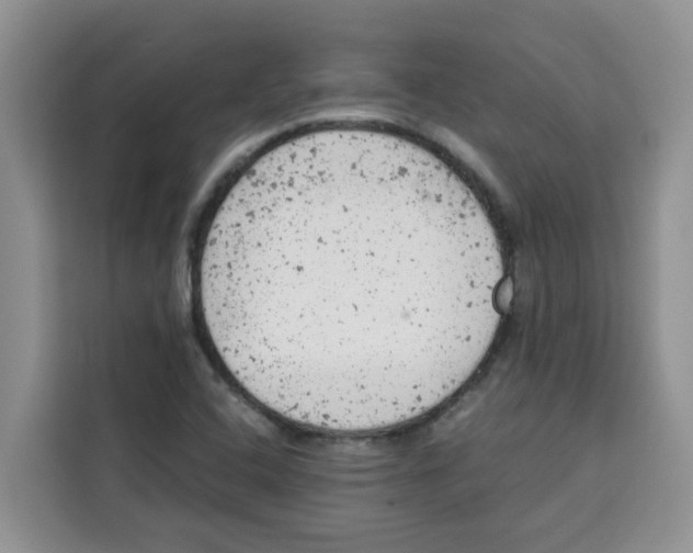 X0000115151408200911241519