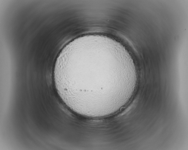 X0000115151409200911241519