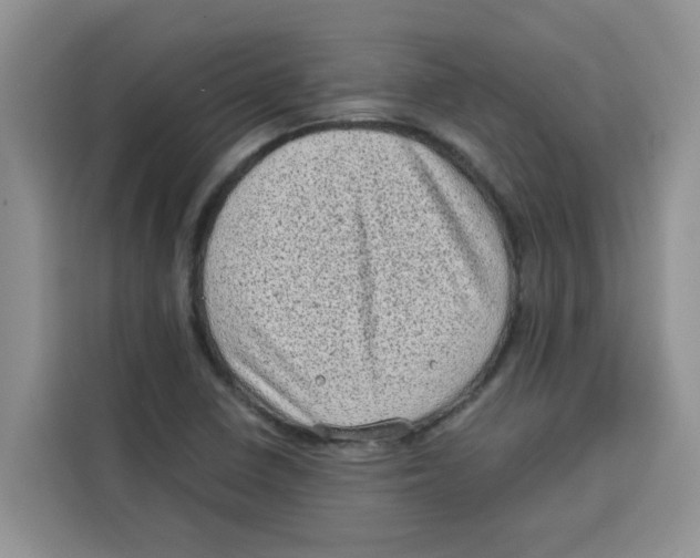 X0000115151410200911241519