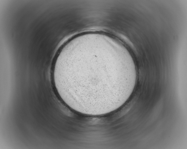 X0000115151412200911241519