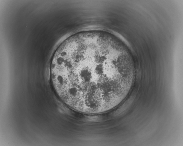 X0000115151413200911241519