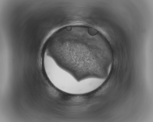 X0000115151414200911241519