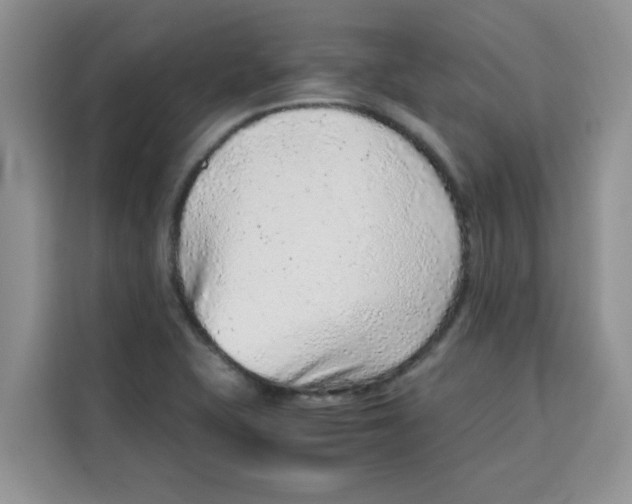 X0000115151415200911241519