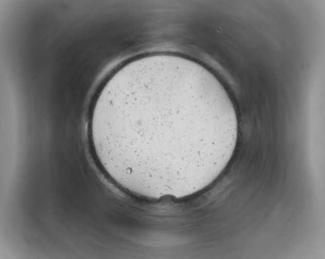 X0000115151416200911241519