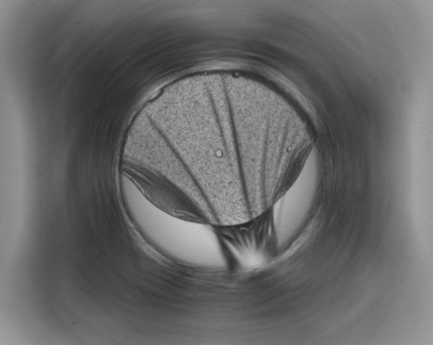 X0000115151417200911241519