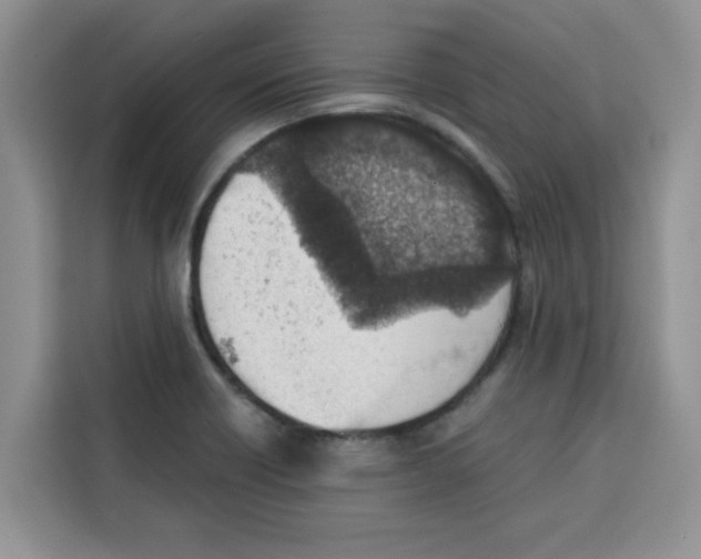 X0000115151418200911241519