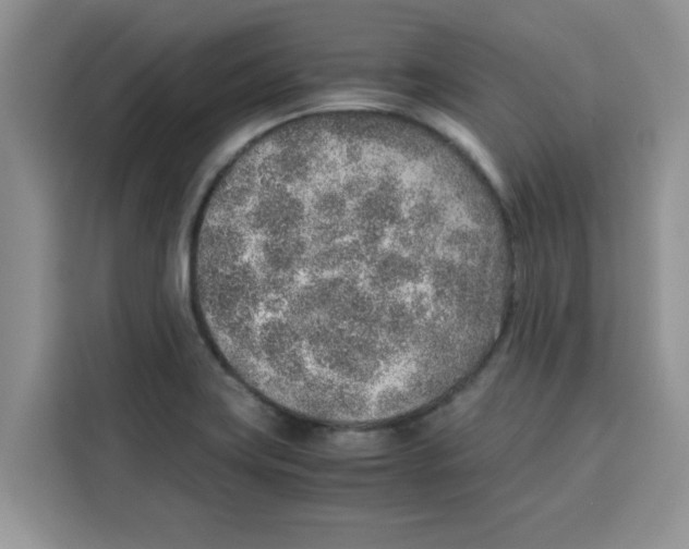 X0000115151419200911241519