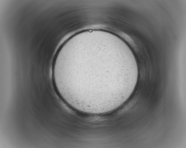 X0000115151420200911241519