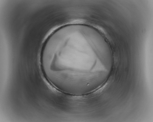 X0000115151422200911241519