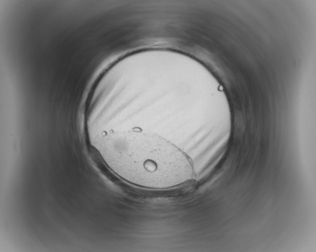 X0000115151424200911241519