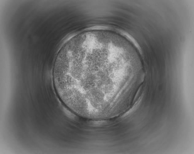 X0000115151425200911241519