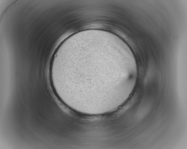 X0000115151426200911241519