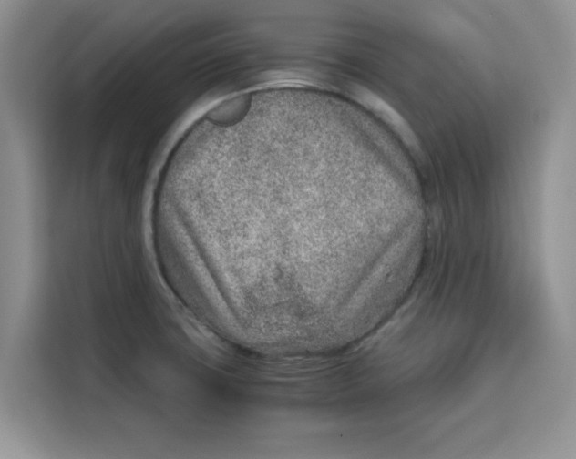 X0000115151427200911241519