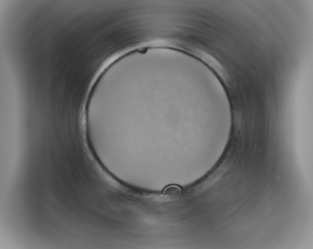 X0000115151428200911241519