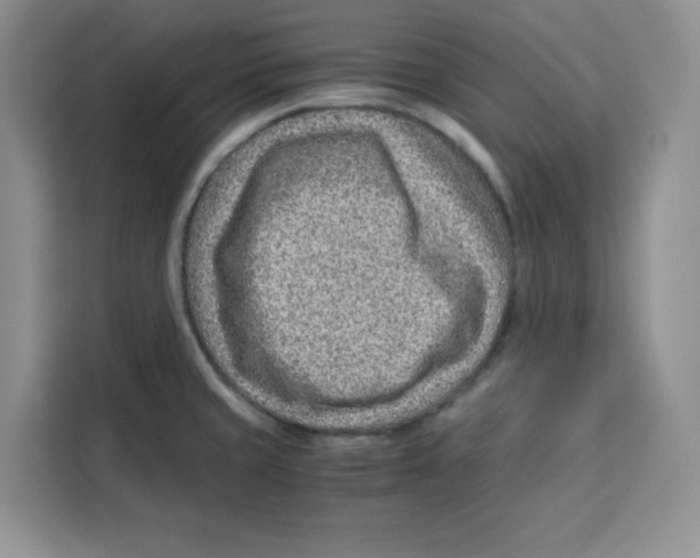 X0000115151429200911241519