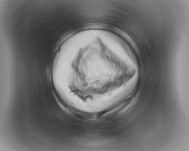 X0000115151433200911241520