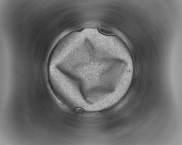 X0000115151434200911241520